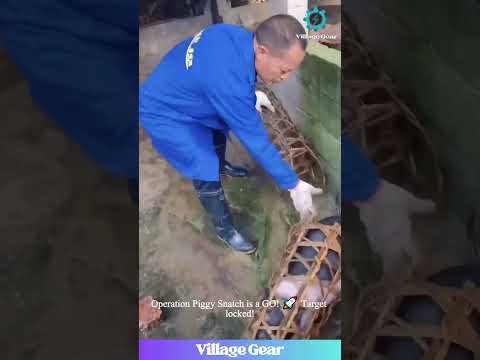 Piglet Catching Level: Asian Farmer! ๐ This Basket Hack! #funny #farming #piggy #skills #hack