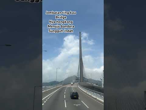 Ting kau bridge #shorts #shortvideo  #comedy #tkwhongkong #funny #memes #tingkaubridge
