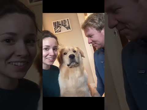 #funny #dogs #pet #dogscats #dog#doglover#doglife