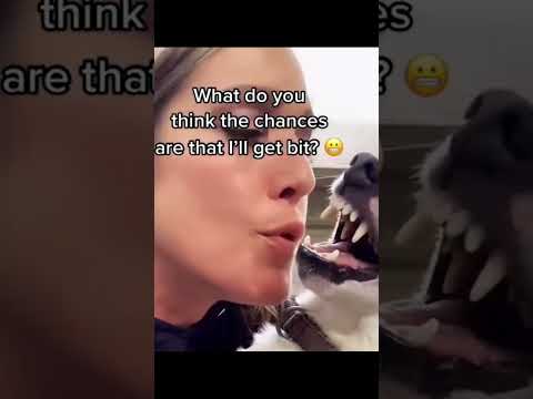 #funny #dogs #pet #dogscats #dog#doglover#doglife