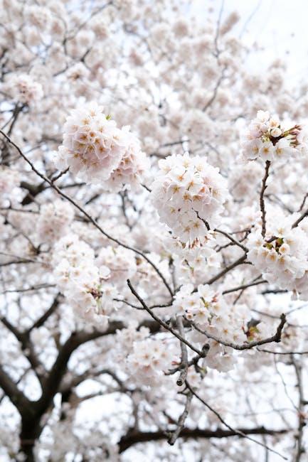 Unlocking the Hidden Connection Between Spring Allergies and Headache Frequency