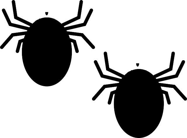 understanding the Origins of the Bedbug Saying and Its Cultural Significance