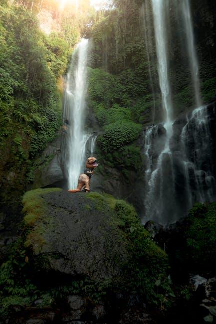 Strategic tips for Enthusiasts: Experiencing the​ Adventure Safely and ‌Fully