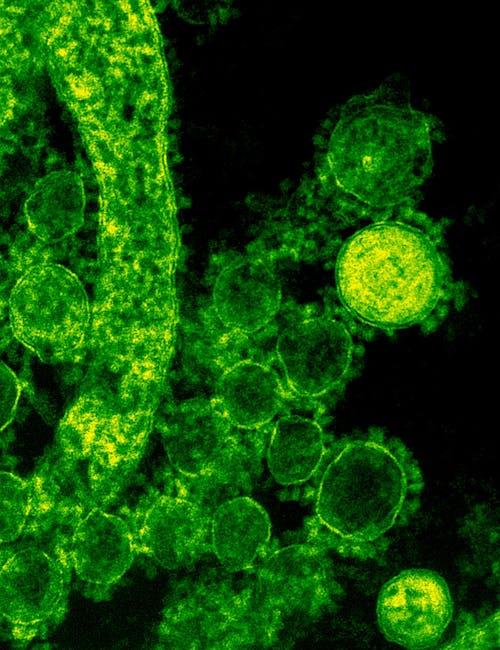 Shifting Strategies in Pandemic Response and Public Security