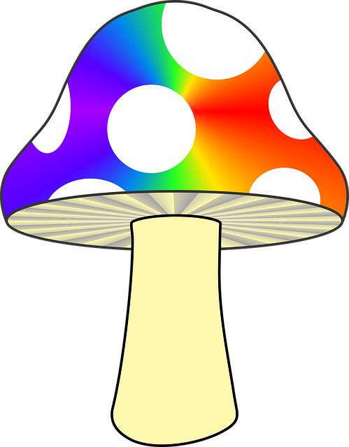 Discovering Personal Transformation Through Psychedelic Experiences
