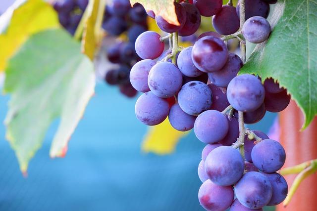 Preparing for the Fall: ⁣How Consumers and Retailers Can ‌Navigate Possible Price Changes