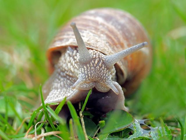 Health Implications of Spitting Out versus Swallowing Mucus