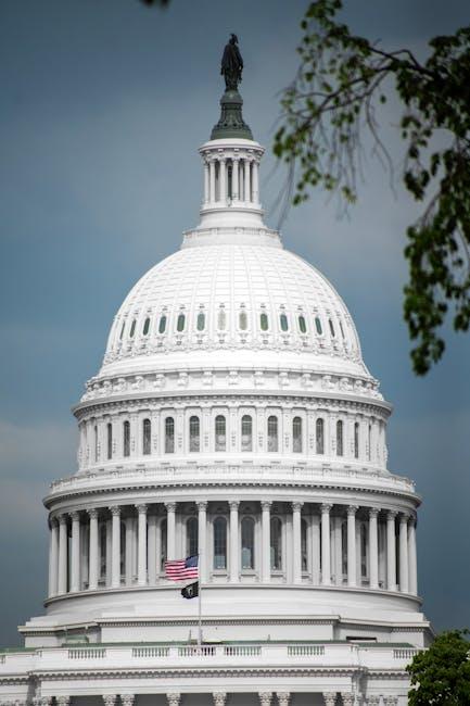 Analyzing the Rationale Behind the Proposed Legislation and Its Broader Implications