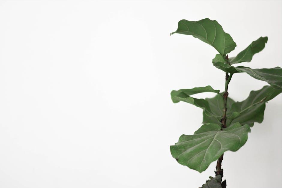 The Science of ‍Clearing Your Lungs and Reducing Coughs Through Air Purification