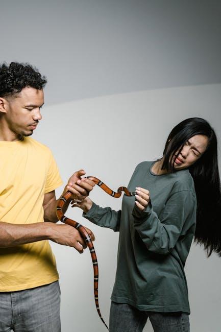 Creating a Safe and Comforting environment at Home⁣ for Anxious⁢ Pets