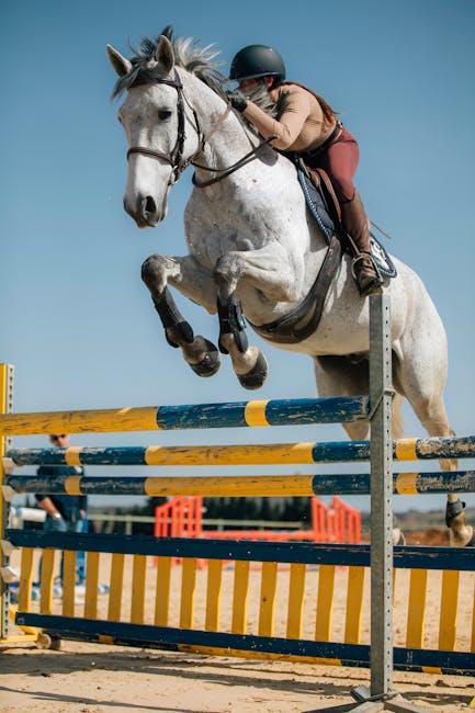 Expert Tips⁣ for Navigating⁢ complex Hurdles with⁢ Confidence