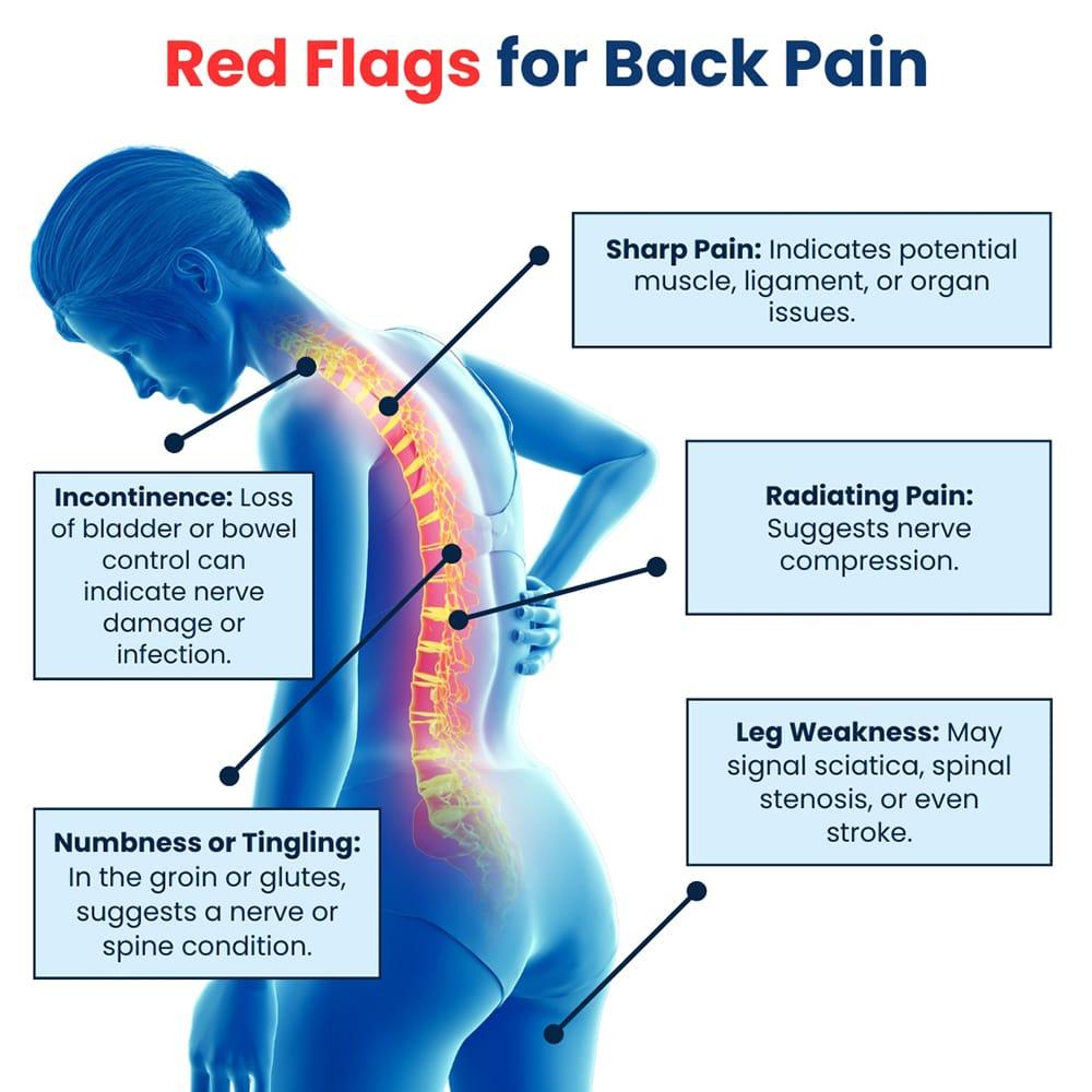 Addressing Back Pain Through Low-Impact Movement Solutions