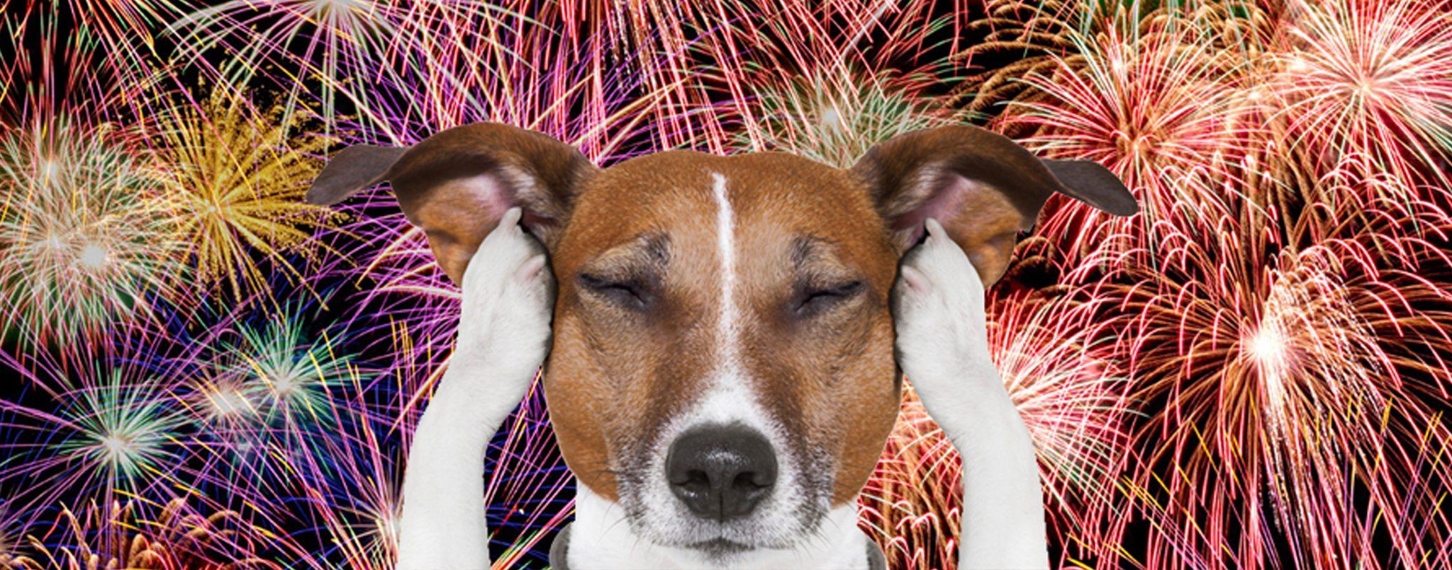 Expert-Recommended Solutions​ to Soothe Your Pet During Fireworks Displays