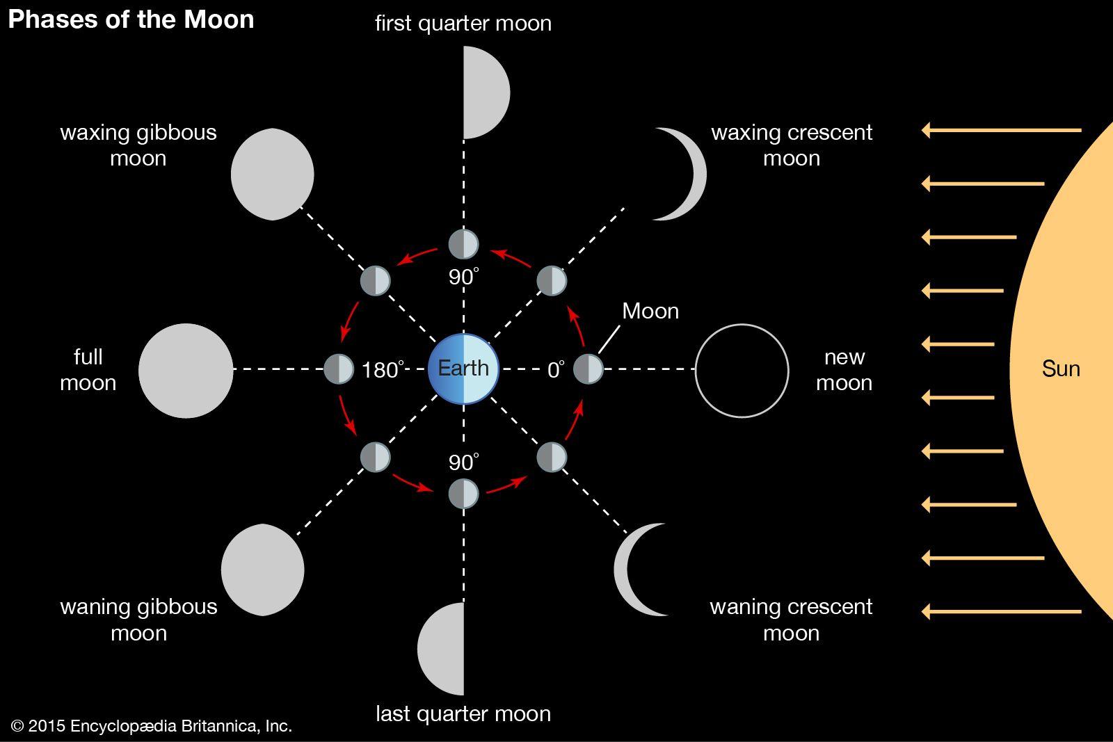 Insights into the ⁣Lunar Cycle That Shape Our Night Sky