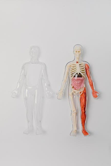 the Shifting Landscape of Medical Training Amid ⁣Political Uncertainty