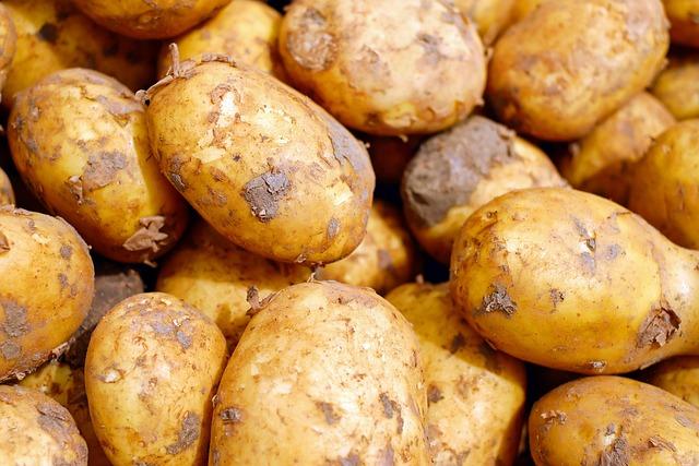 Understanding How Specific Carbs Influence Aging and Overall Health