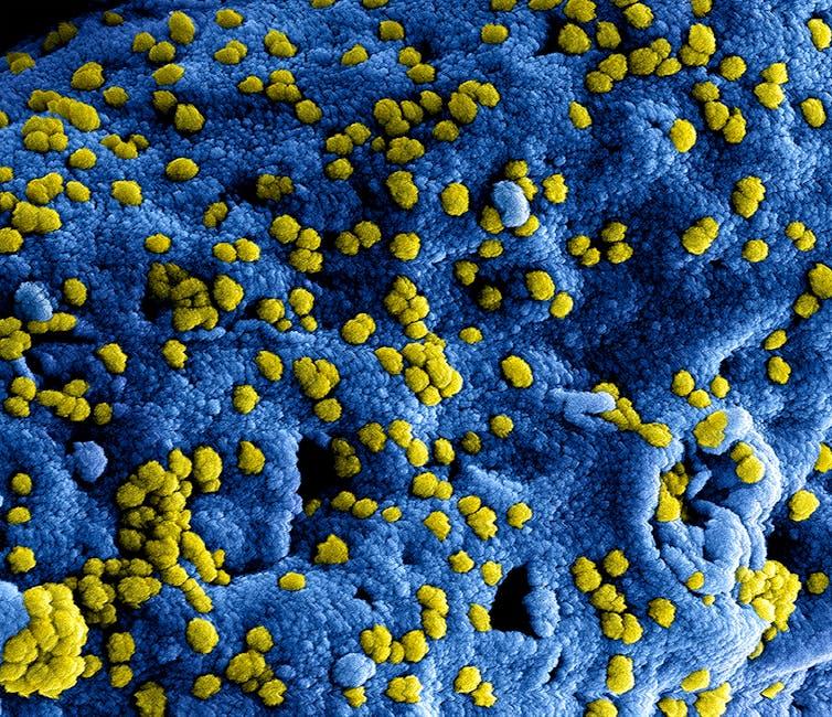 The Hidden Microbial World Clinging‌ to Your Beach Towel