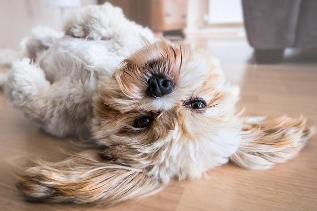 Unlocking the Gentle ​power of Floor Lying to Improve Circulation and Flexibility