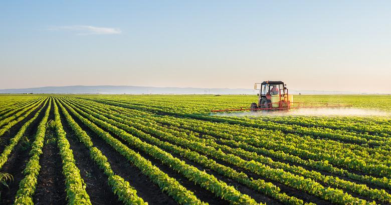 Examining⁤ the ​Potential Impact⁢ on Farmers⁣ and Rural Economies