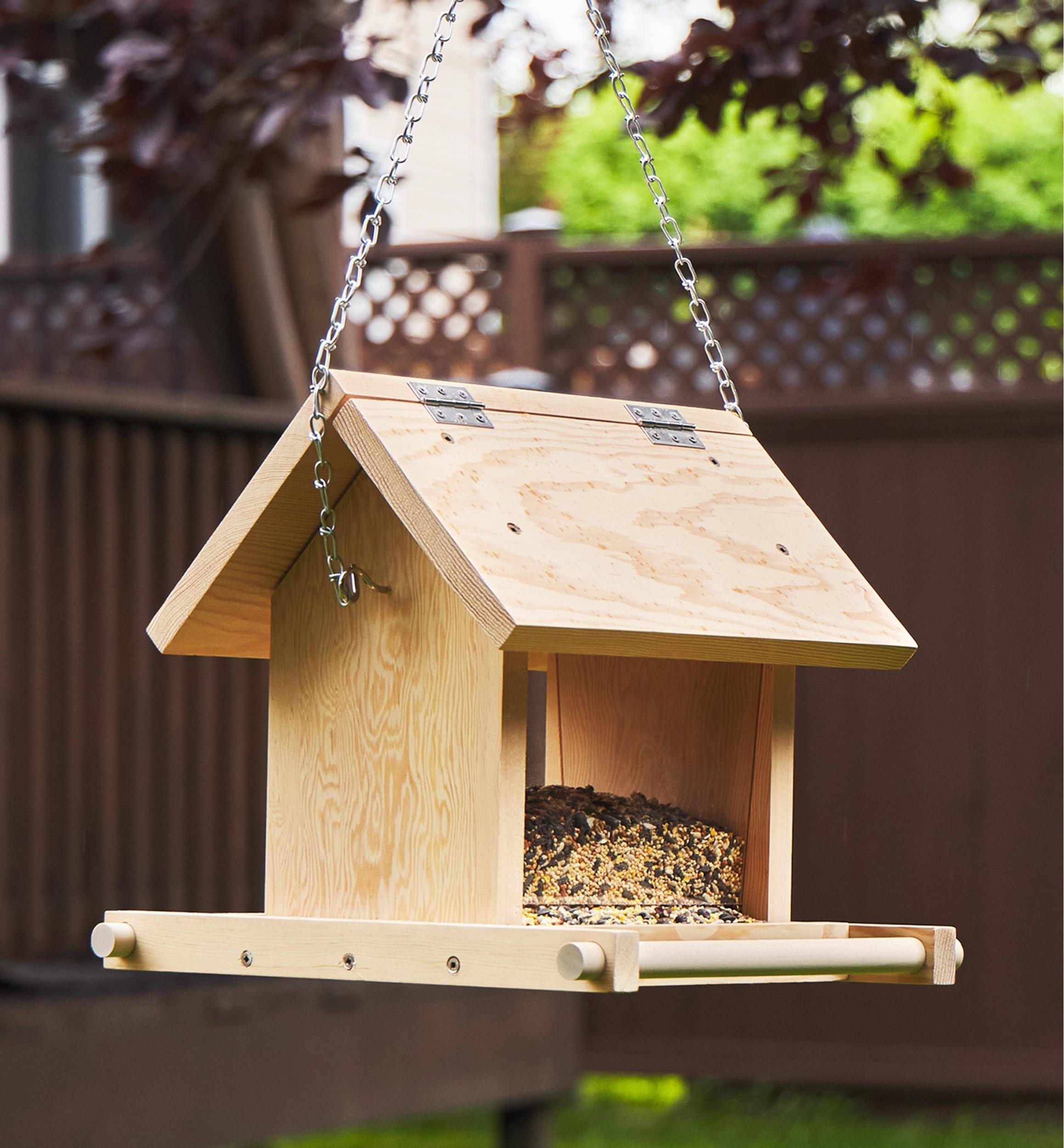 Unveiling Features⁣ That set‍ This ​Bird ‌buddy Alternative Apart