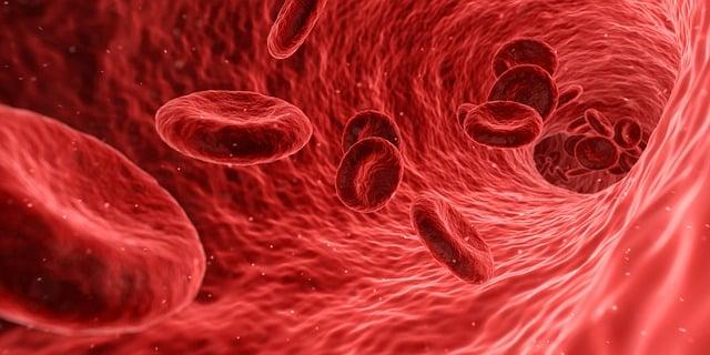 Preventative Measures for Optimal ‌Vein ​Health