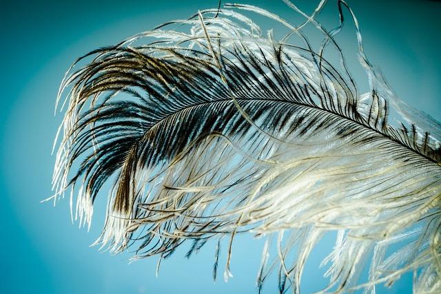 Expert Tips‌ for Mastering the ​Strands Challenge