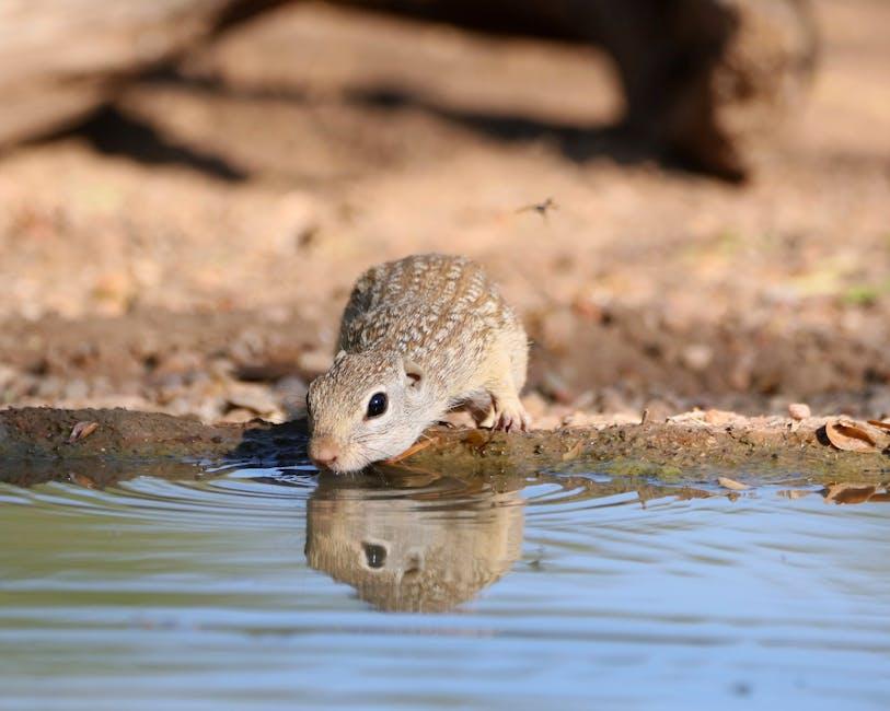 Understanding Thirst: A Natural Signal or a Warning Sign