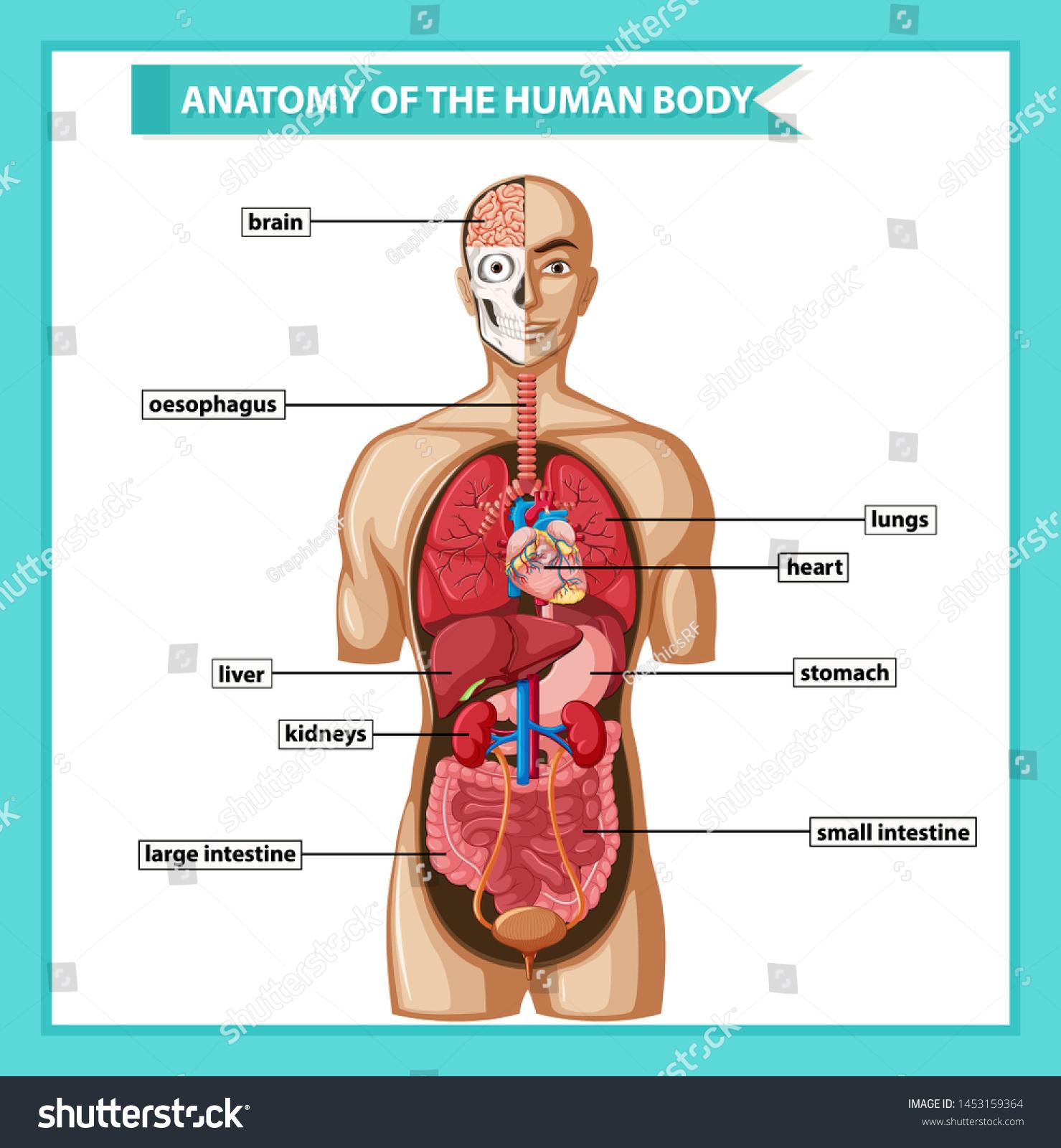 Understanding the Journey to Body Autonomy