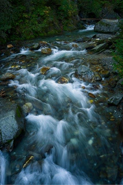 Unlocking Your Free Month of AMC+ Streaming