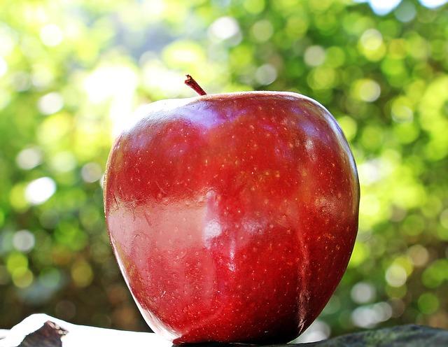 The ‍Anticipation⁣ Surrounding Apple's⁣ Upcoming Releases