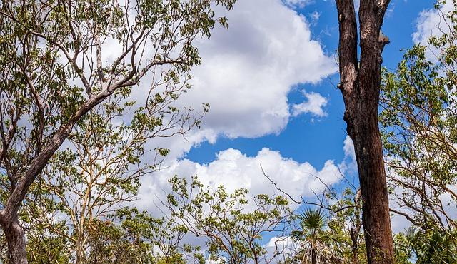 The ‍Role of Tees in Promoting Good Posture