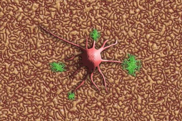 Future ⁤Directions‌ in ⁢Dementia‍ Research and Prevention‌ Strategies