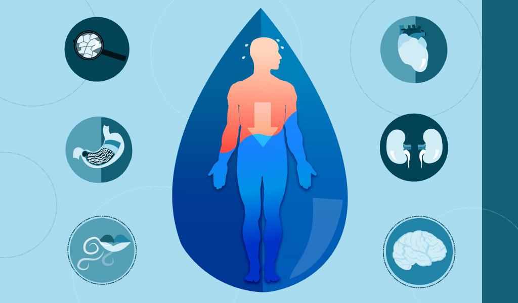 The⁣ Science Behind Dehydration: What Happens to Your Body