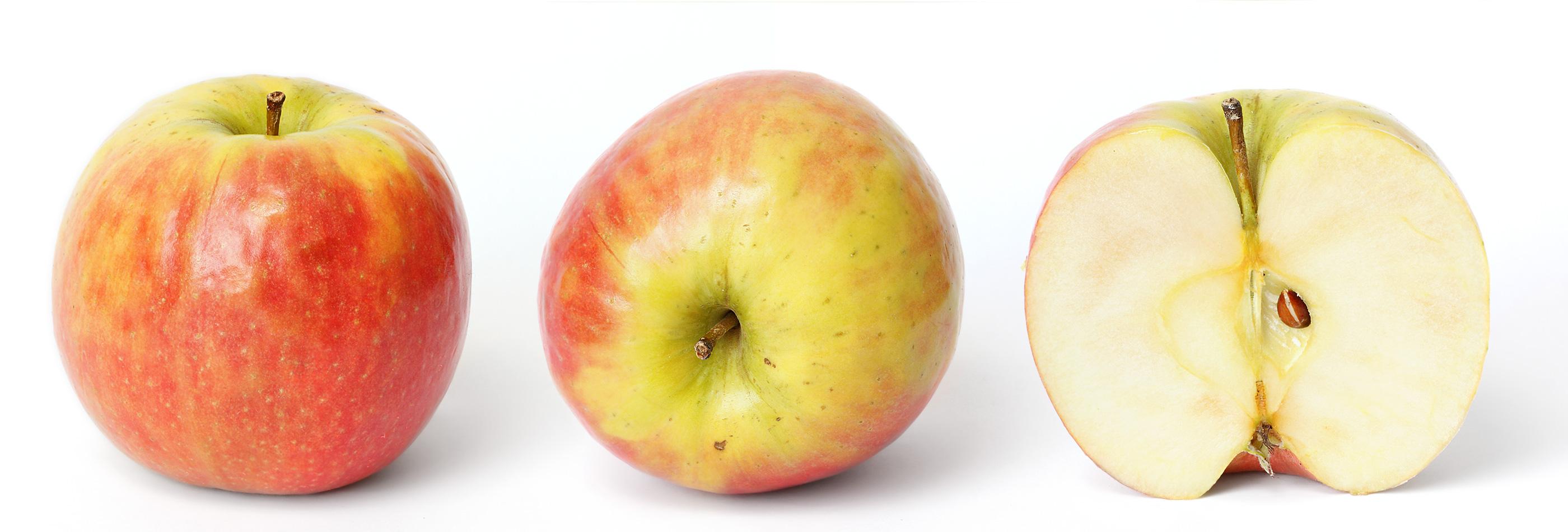 Navigating the Speculations: What to Expect from Apple’s Future Launches