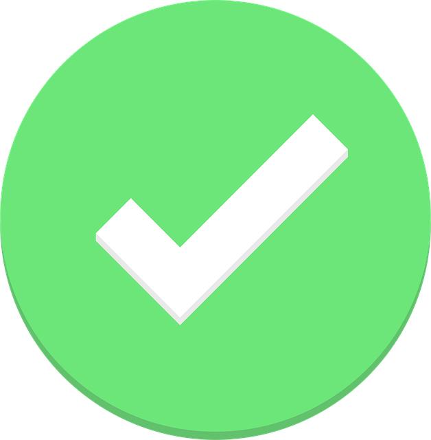The Implications of Fact-Checking in Political Discourse
