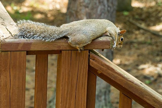 Understanding Postcoital Dysphoria and Its Emotional Roots