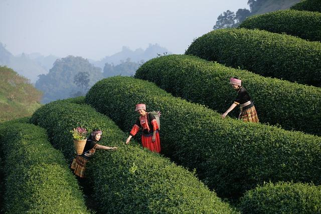 Setting the ⁢Mood:⁣ Creating the Perfect Viewing Experience at Home